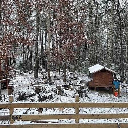 Beautiful & Peaceful Cabin W/ Deck Garden & Fire-Pit Murphy Exterior photo