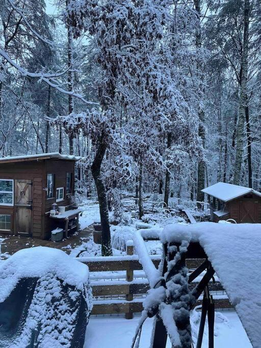 Beautiful & Peaceful Cabin W/ Deck Garden & Fire-Pit Murphy Exterior photo