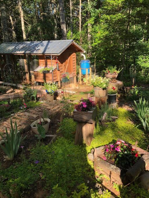 Beautiful & Peaceful Cabin W/ Deck Garden & Fire-Pit Murphy Exterior photo